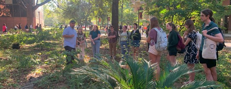 Study Sustainability at UofL